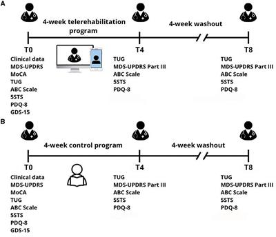 Feasibility and effectiveness of a remote individual rehabilitation program for people with Parkinson's disease living in the Brazilian Amazon: a randomized clinical trial